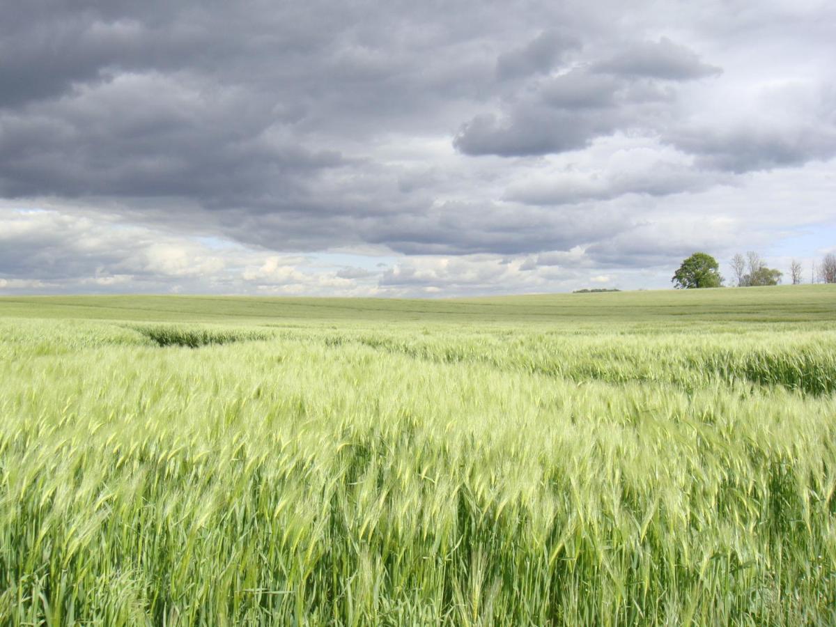 Kleine Auszeit - Natur Und Erholung In Mecklenburg Reimershagen Kültér fotó